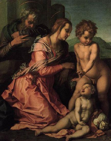 Andrea del Sarto Holy Family France oil painting art